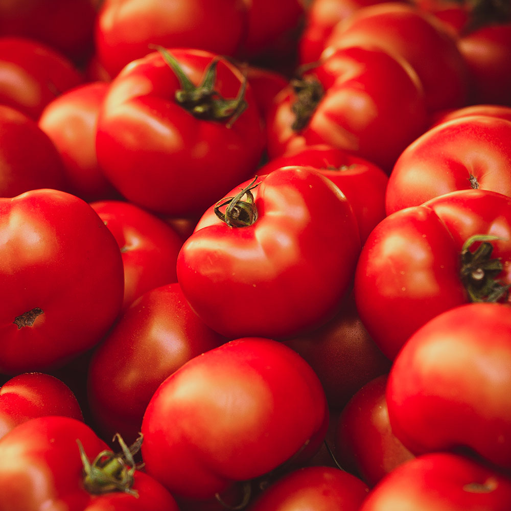 Tomates